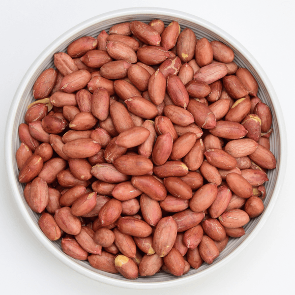 24년 햇 볶은땅콩 500g 1봉 (4,500원/무료)1