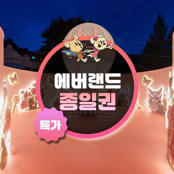 에버랜드 종일이용권 (카드 30,100원/무료)2