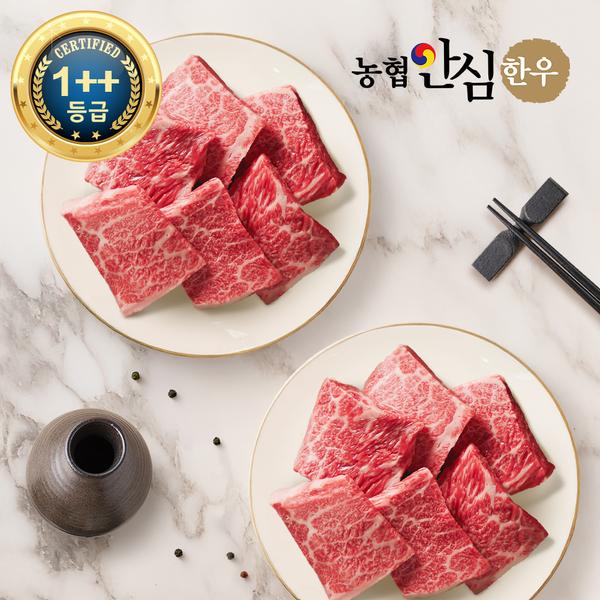 농협안심한우 1++등급 살치살 500g (250g*2팩) (49,410원/무배)
