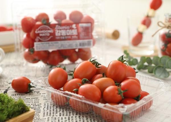 스테비아 대추방울토마토 2kg (9,940원/무배)1