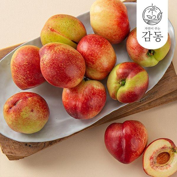 신비복숭아 1kg소과 16과내외 외 다양 (9,000원~/무료)