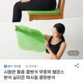 쿨링 무중력 밸런스 방석 실리콘 헥사겔패턴+전용메쉬커버(10,620원/무료)5