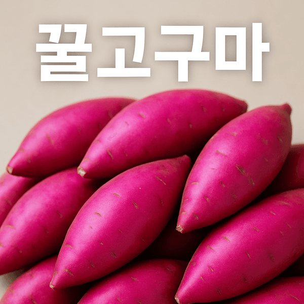 해남 세척 고구마 3kg 대사이즈(11,390원/무배)1