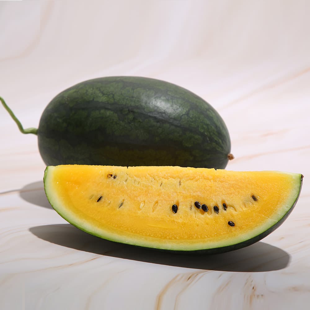 고창 블랙망고수박 2kg 1수(9,900원/무배)