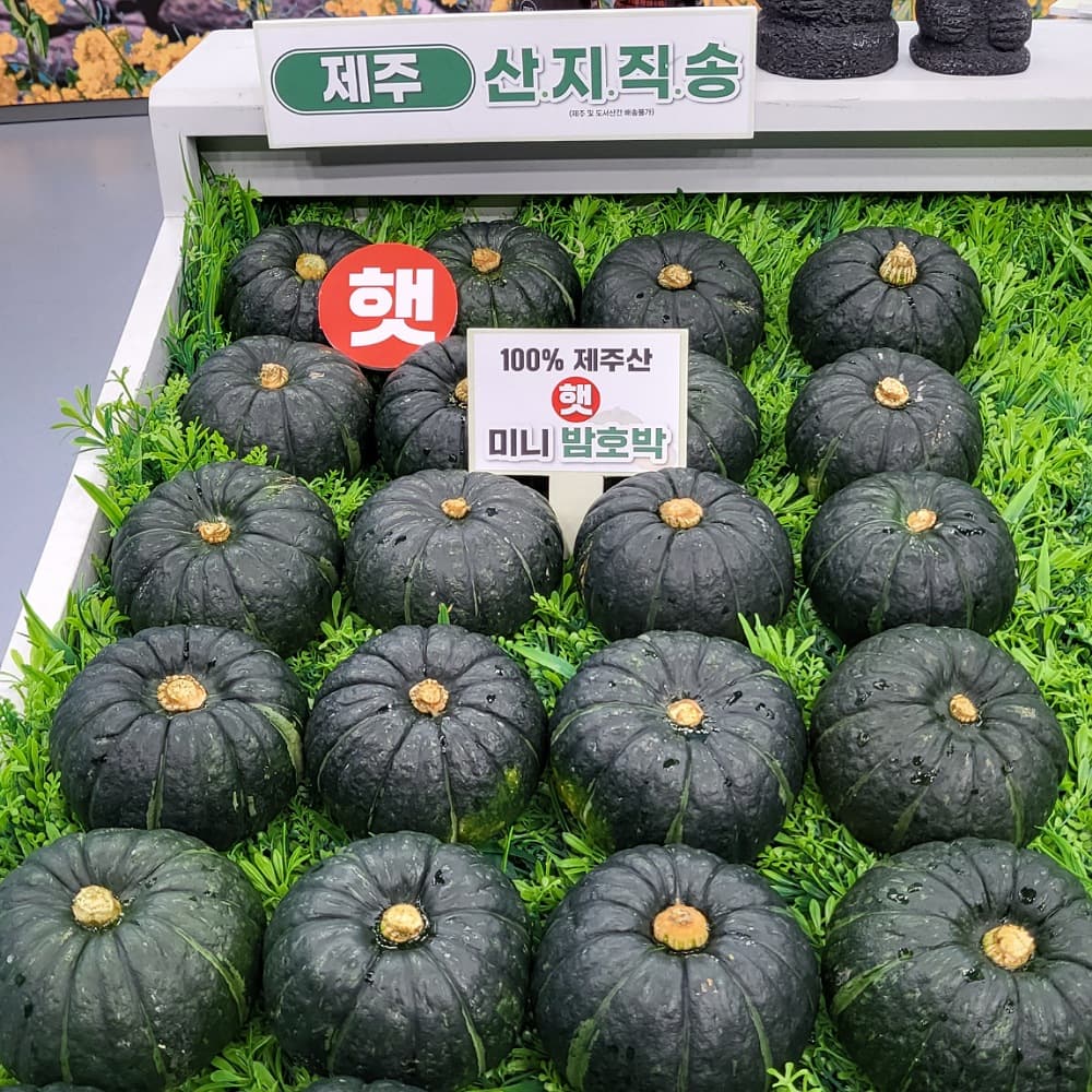 제주도 미니밤호박 보우짱 특품 로얄사이즈 3kg(11420원/무배)