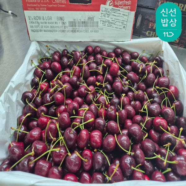 직수입 워싱턴 항공 체리 9.5/9R 특대과 5KG (1박스) (53,510원~/무료)
